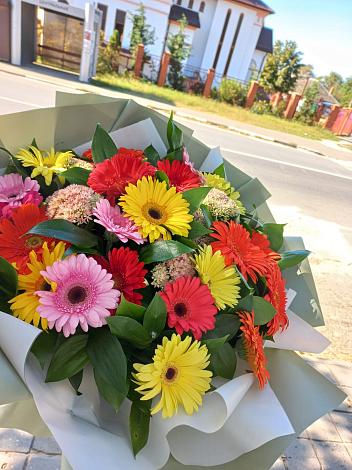 Букет цветов из: Герберы в Раздолье Новгородская область